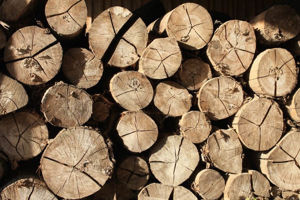 Nuevos procesos de fabricación textil: La madera de haya