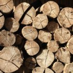 Nuevos procesos de fabricación textil: La madera de haya